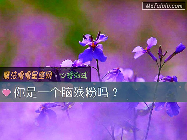 你是一个脑残粉吗？