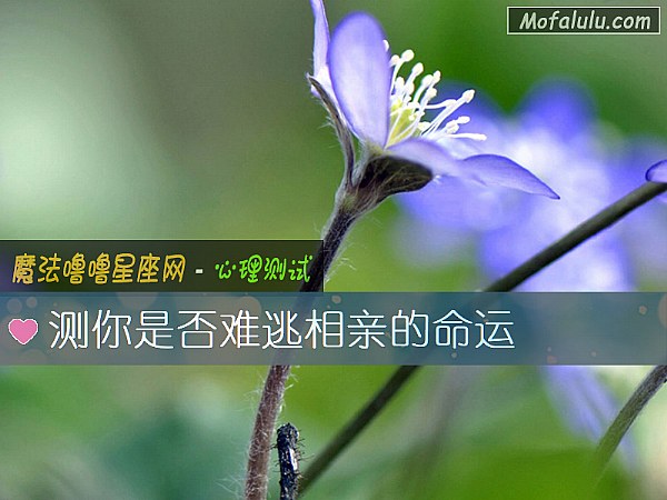 测你是否难逃相亲的命运