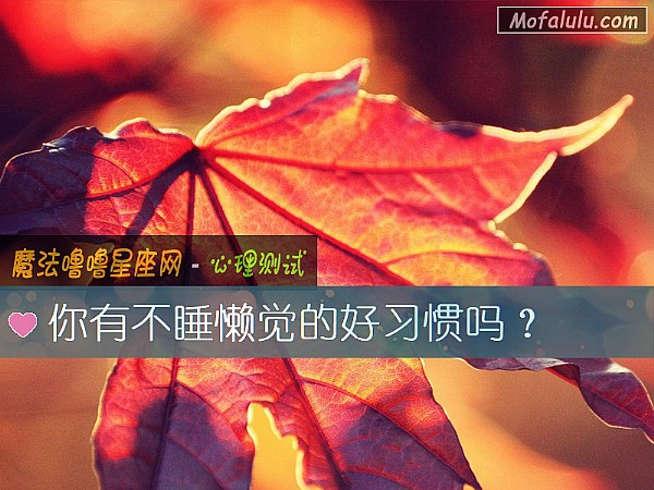 你有不睡懒觉的好习惯吗？