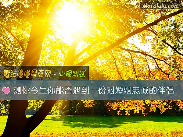 测你今生你能否遇到一份对婚姻忠诚的伴侣