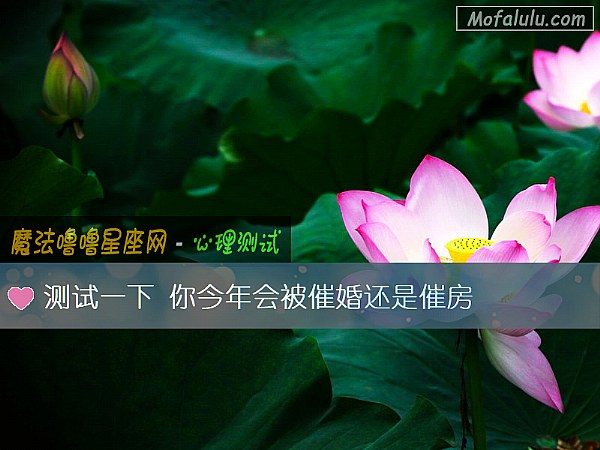 测试一下 你今年会被催婚还是催房