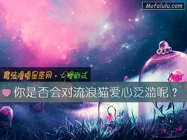 你是否会对流浪猫爱心泛滥呢？