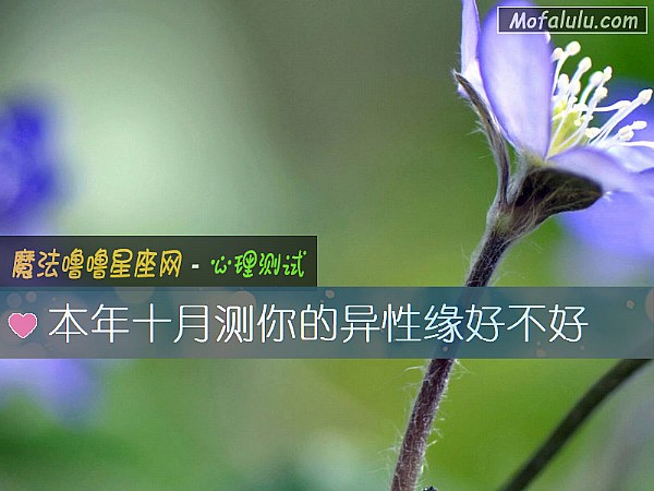 本年十月测你的异性缘好不好