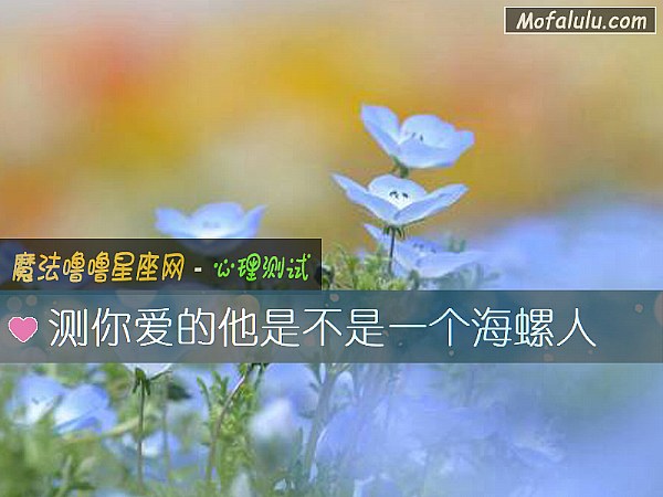 测你爱的他是不是一个海螺人