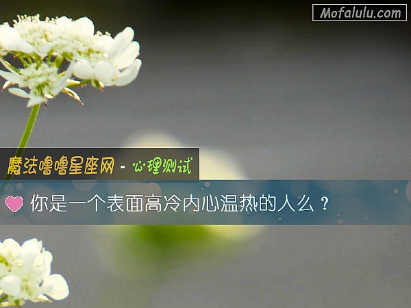 你是一个表面高冷内心温热的人么？