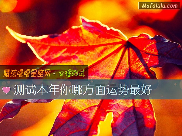 测试本年你哪方面运势最好