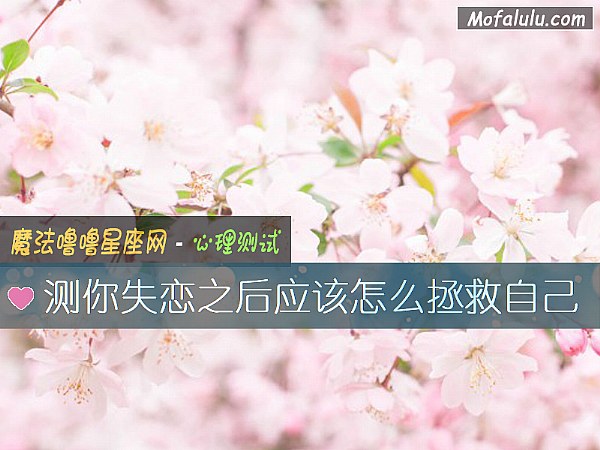 测你失恋之后应该怎么拯救自己
