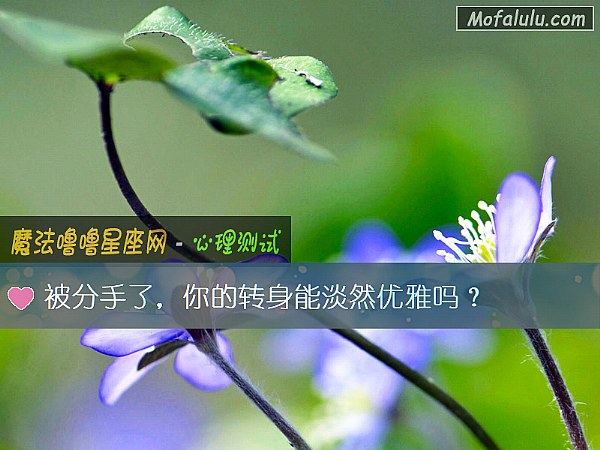 被分手了,你的转身能淡然优雅吗? 被分手了,你的转身能淡然优雅吗?