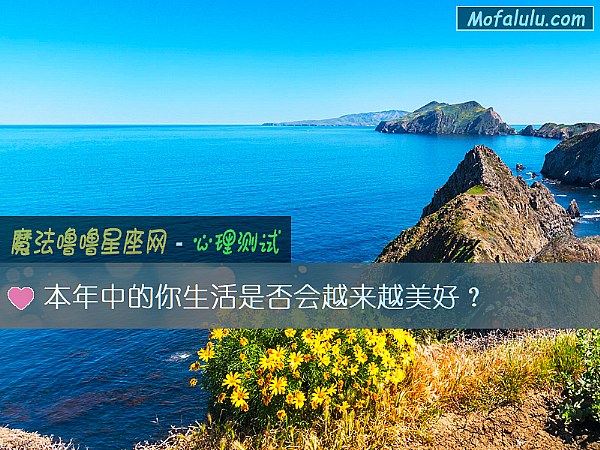 本年中的你生活是否会越来越美好？