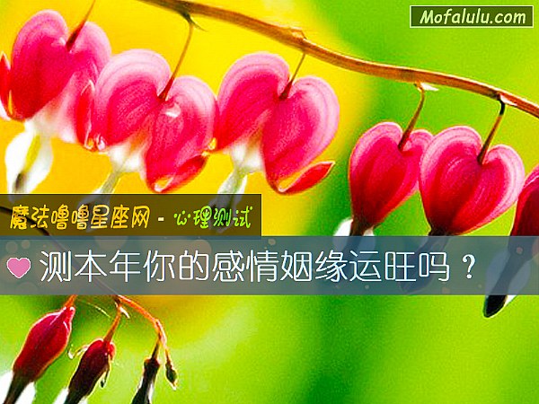测本年你的感情姻缘运旺吗？
