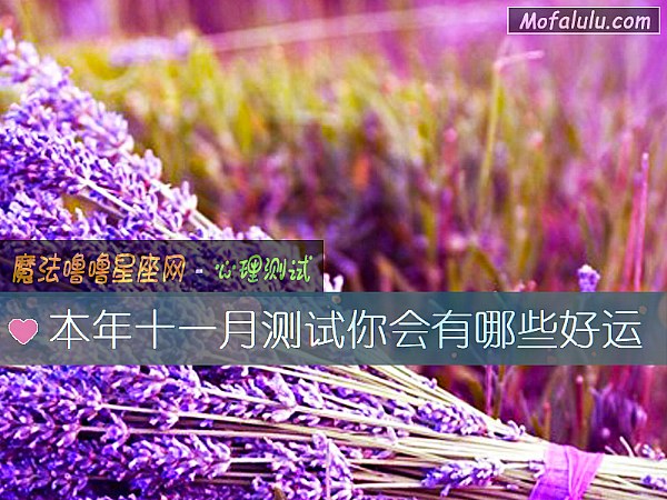 本年十一月测试你会有哪些好运
