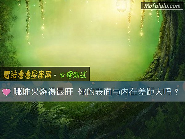 哪堆火烧得最旺 你的表面与内在差距大吗？