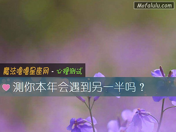 测你本年会遇到另一半吗？