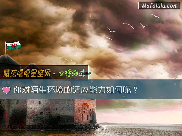 你对陌生环境的适应能力如何呢？