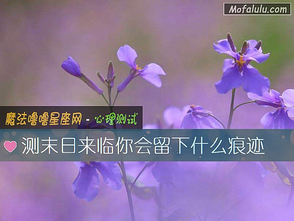 测末日来临你会留下什么痕迹