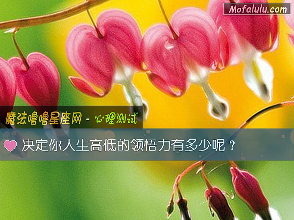 决定你人生高低的领悟力有多少呢？