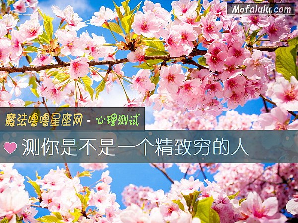 测你是不是一个精致穷的人