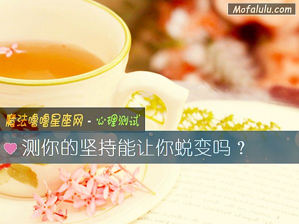 测你的坚持能让你蜕变吗？