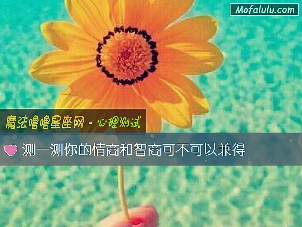 测一测你的情商和智商可不可以兼得