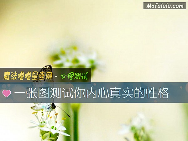 一张图测试你内心真实的性格 一张图测试你内心真实的性格