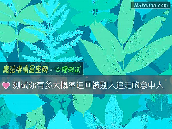 测试你有多大概率追回被别人追走的意中人