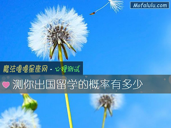 测你出国留学的概率有多少