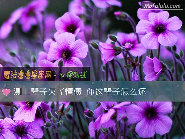 测上辈子欠了情债 你这辈子怎么还