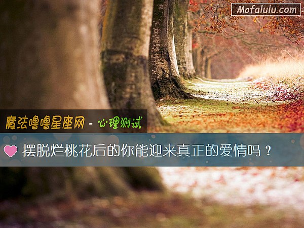 摆脱烂桃花后的你能迎来真正的爱情吗？