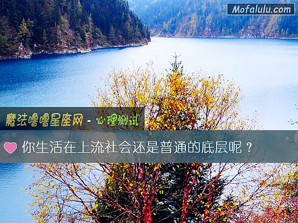 你生活在上流社会还是普通的底层呢？