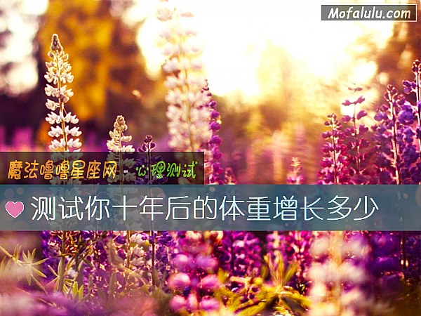 测试你十年后的体重增长多少