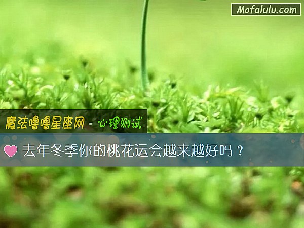 去年冬季你的桃花运会越来越好吗？