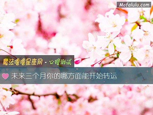 未来三个月你的哪方面能开始转运