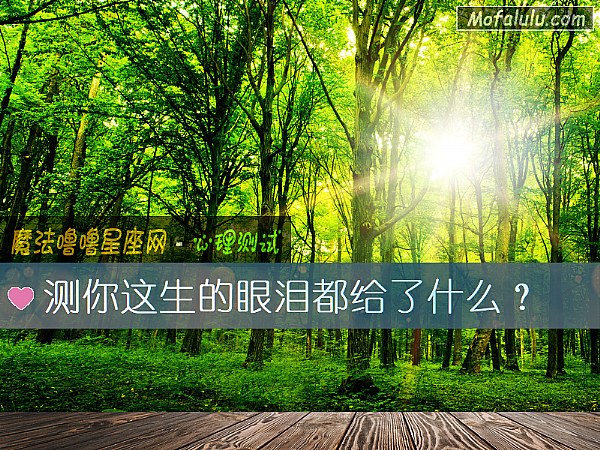 测你这生的眼泪都给了什么？
