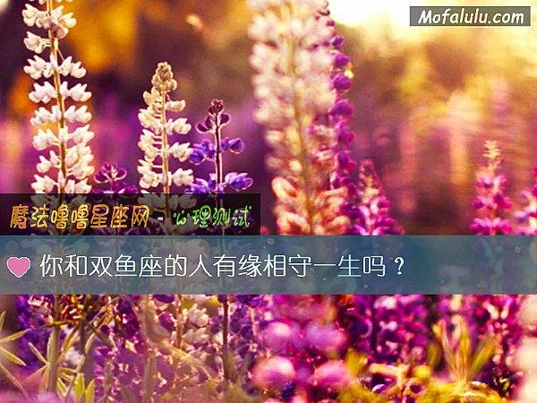 你和双鱼座的人有缘相守一生吗？