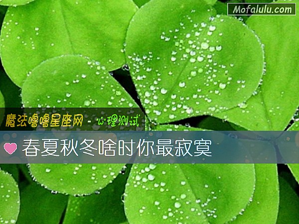 春夏秋冬啥时你最寂寞