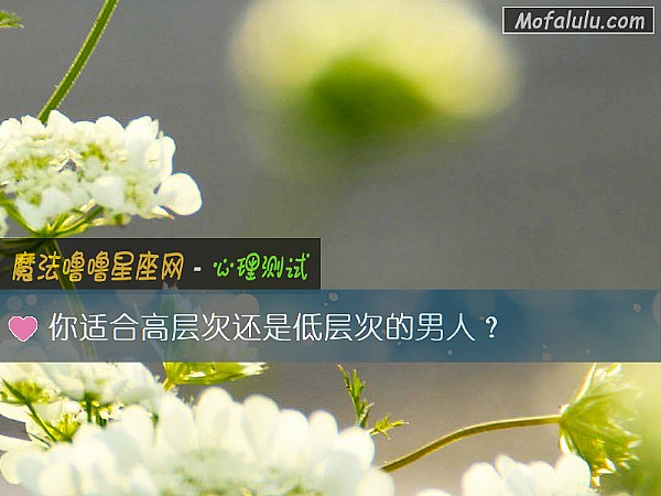 你适合高层次还是低层次的男人？