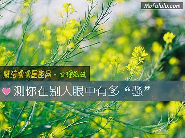 测你在别人眼中有多“骚”