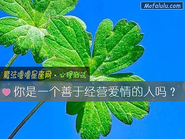 你是一个善于经营爱情的人吗？