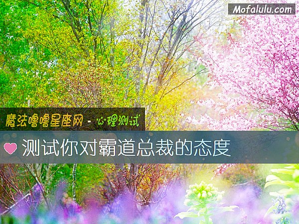 测试你对霸道总裁的态度