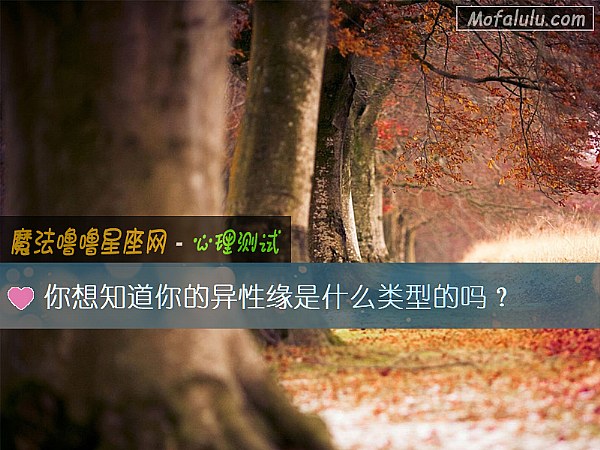 你想知道你的异性缘是什么类型的吗？