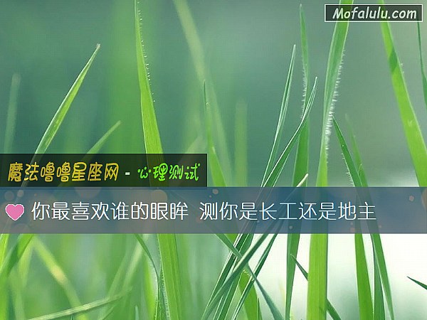 你最喜欢谁的眼眸 测你是长工还是地主