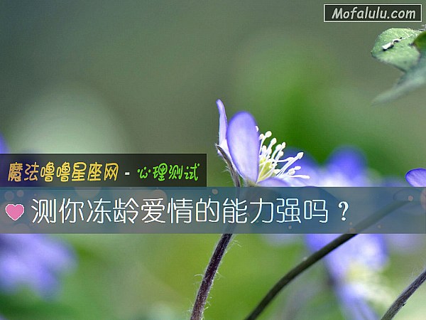 测你冻龄爱情的能力强吗？