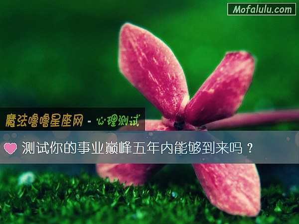 测试你的事业巅峰五年内能够到来吗？