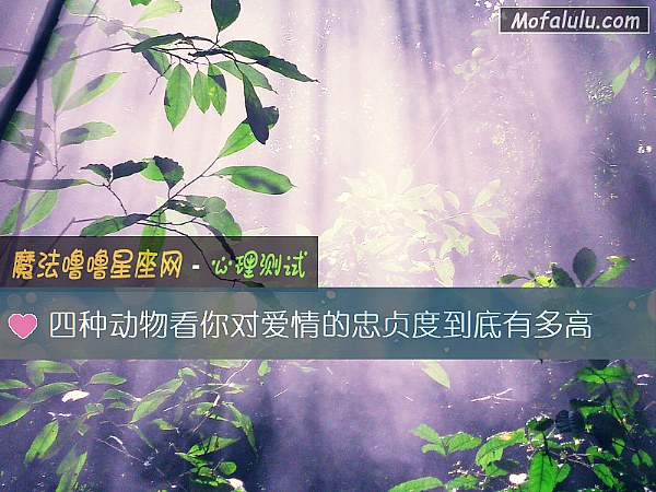 四种动物看你对爱情的忠贞度到底有多高