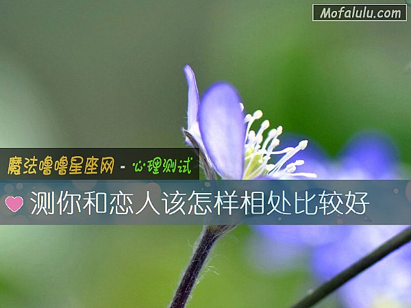 测你和恋人该怎样相处比较好