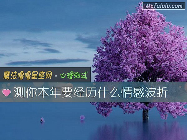 测你本年要经历什么情感波折