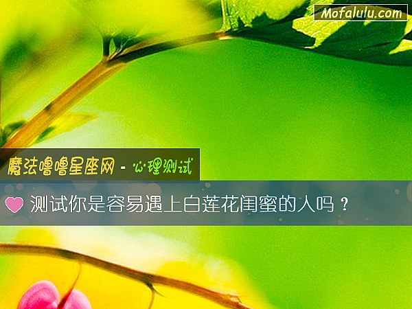 测试你是容易遇上白莲花闺蜜的人吗？
