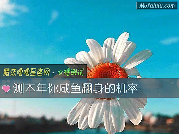 测本年你咸鱼翻身的机率