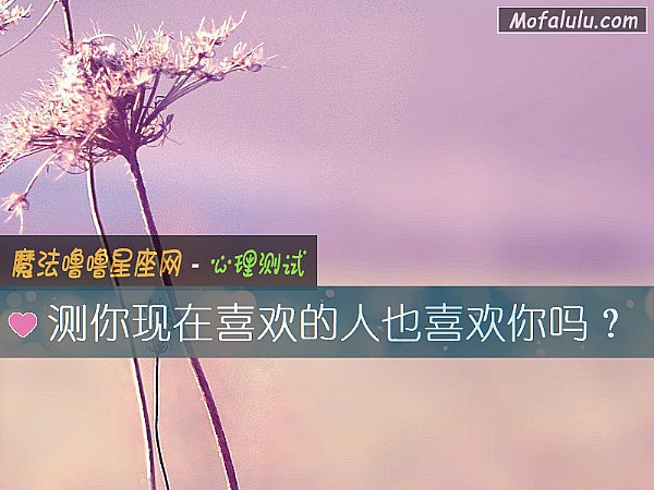 测你现在喜欢的人也喜欢你吗？