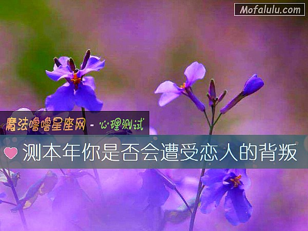 测本年你是否会遭受恋人的背叛